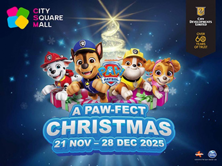 PAW Patrol at City Square Mall