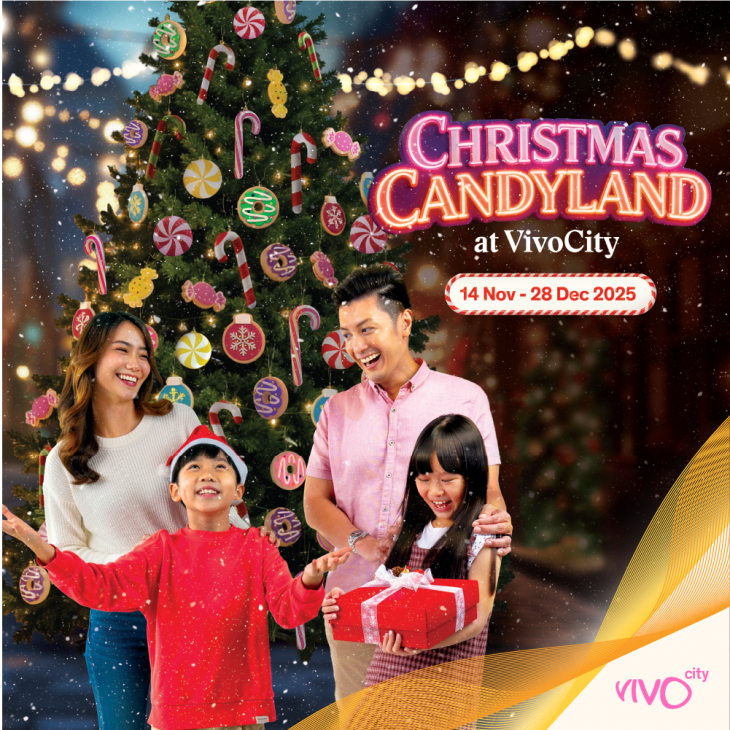 Christmas @VivoCity