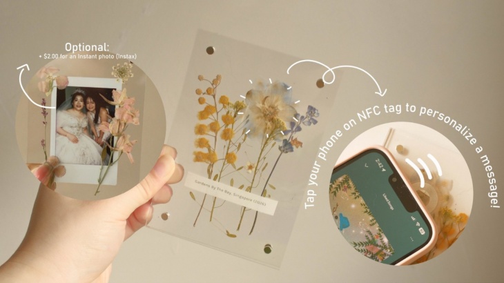 Get Crafty! – Pressed Flowers Get Crafty! – Pressed Flowers