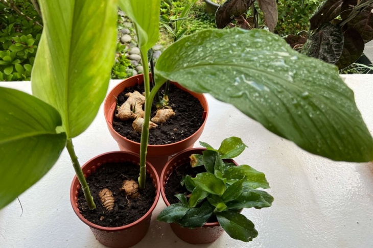 Talks and Workshops for Adults