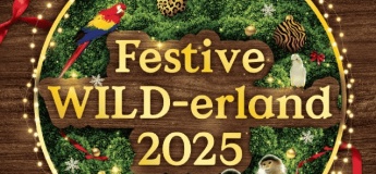Festive Wild-erland @ Singapore Zoo