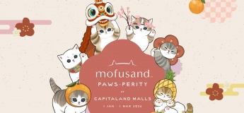 Lunar New Year @ Capitaland Malls