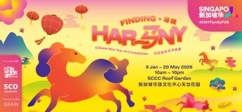 CNY Art Installation