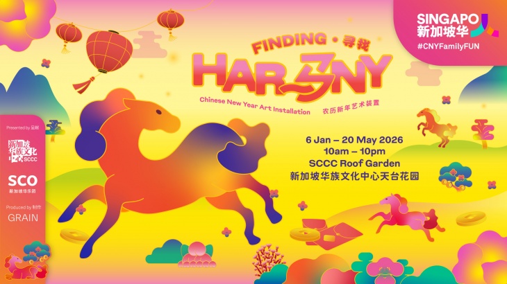 CNY Art Installation CNY Art Installation