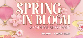 Spring in Bloom Festive Deals