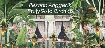 Pesona Anggerik: Truly Asia Orchids