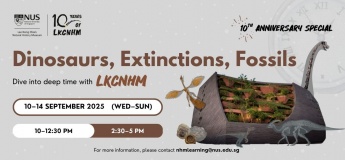 Dinosaurs, Extinctions, Fossils