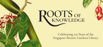 Roots of Knowledge