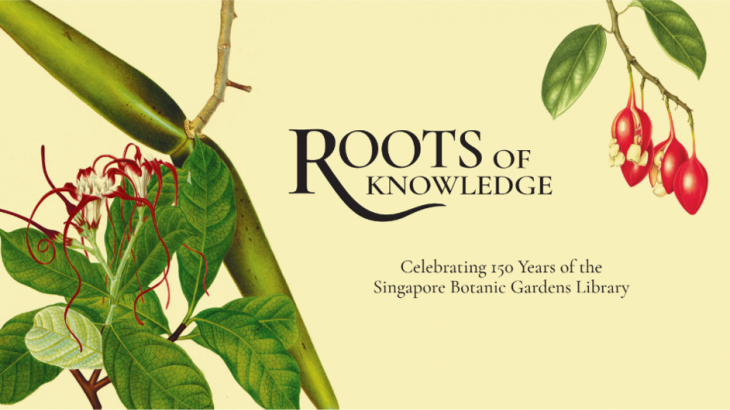 Roots of Knowledge Roots of Knowledge