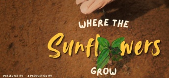 Where The Sunflowers Grow