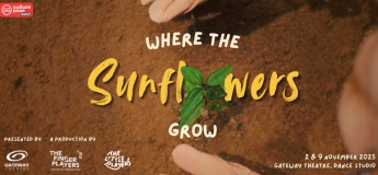 Where The Sunflowers Grow