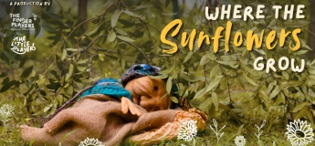 Arts@SBG: Where the Sunflowers Grow