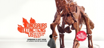 Dinosaurs | Extinctions | Us
