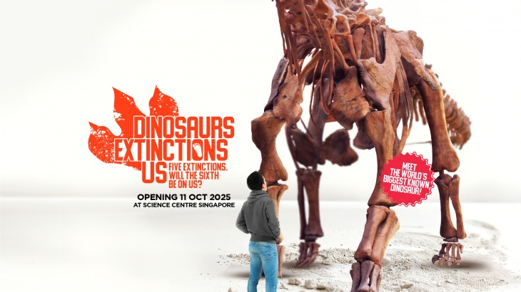 Dinosaurs | Extinctions | Us