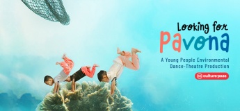 Looking for Pavona