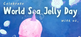 Celebrate World Sea Jelly Day
