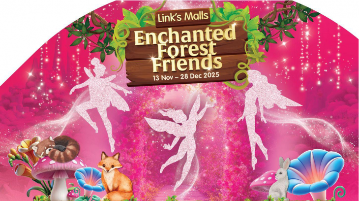 Step into an Enchanted Magical Fairyland at Link’s Malls this Christmas