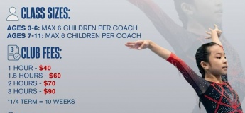 Kids Gymnastics Classes