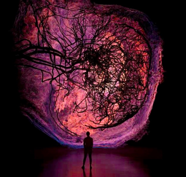 Flesh and Bones: The Art of Anatomy