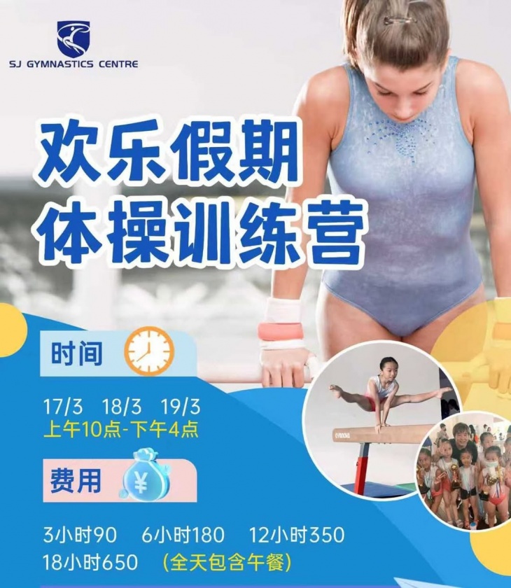 Holiday Gymnastics Training Camp