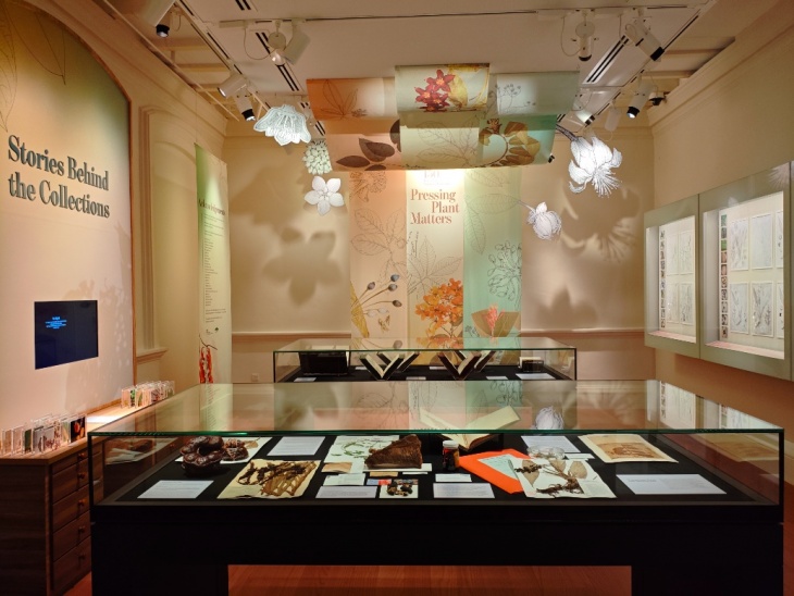 Pressing Plant Matters: 150 Years of the Singapore Herbarium