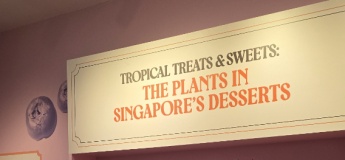 Exhibition @ Centre for Ethnobotany