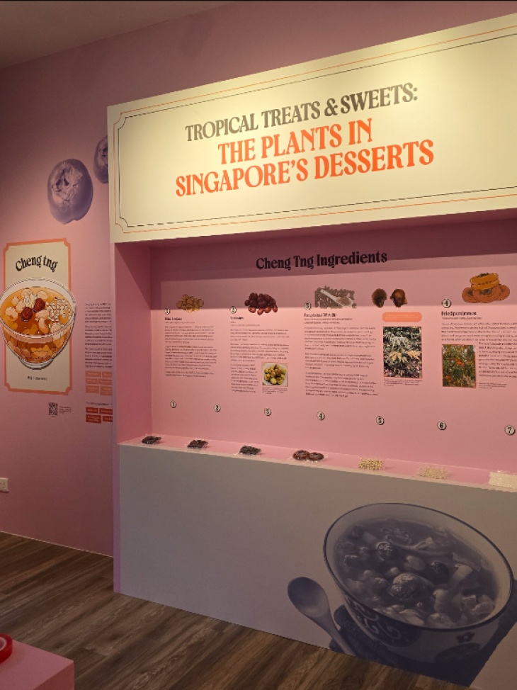 Exhibition @ Centre for Ethnobotany