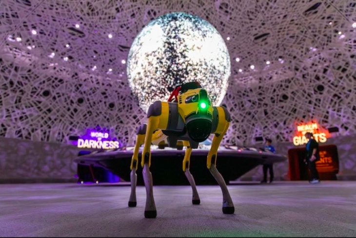 AI Robodogs Now at Exploria & Curiosity Cove