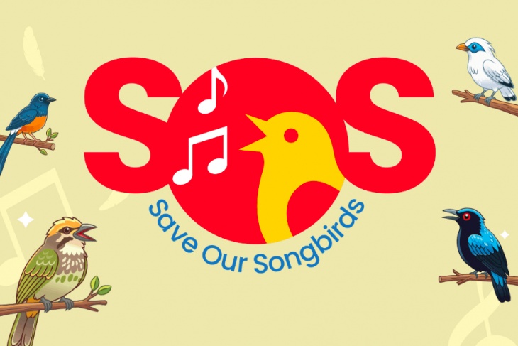 Save Our Songbirds