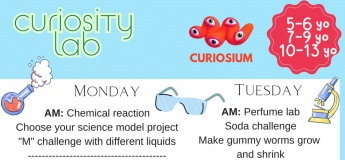 Curiosity Lab Summer Camp