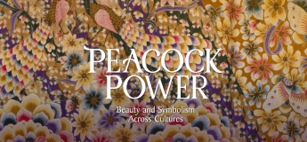 Peacock Power: Beauty and Symbolism Across Cultures