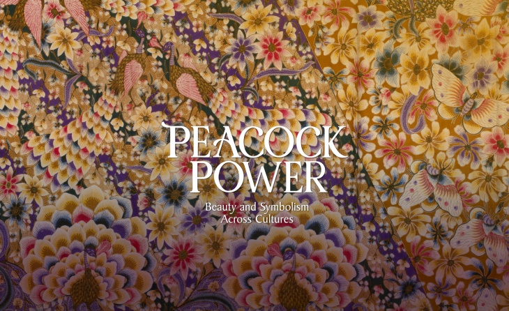 Peacock Power: Beauty and Symbolism Across Cultures Peacock Power: Beauty and Symbolism Across Cultures