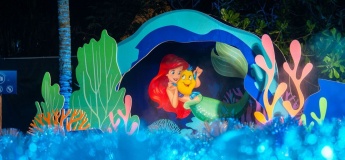 Magical Island Adventure