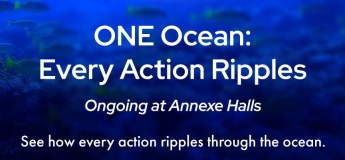 ONE Ocean: Every Action Ripples