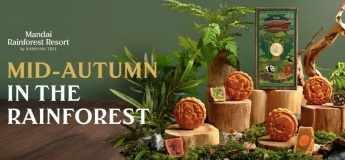 Mid-Autumn in the Rainforest