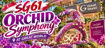SG61 Orchid Symphony