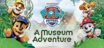 PAW Patrol: A Museum Adventure