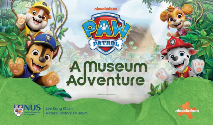 PAW Patrol: A Museum Adventure