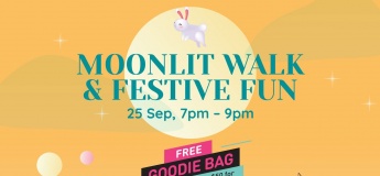 Moonlit Walk & Festive Fun