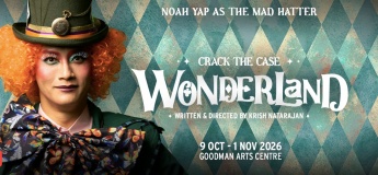Crack the Case: Wonderland
