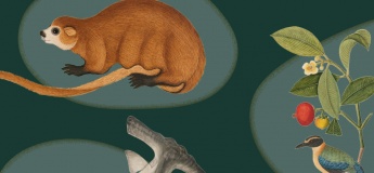 Tails from the Coasts: Nature Stories of Singapore