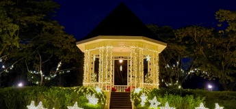 Trees of the World at Singapore Botanic Gardens