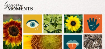 Sensory Moments – Sunflower Surprise