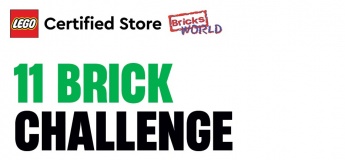 11 Brick Challenge