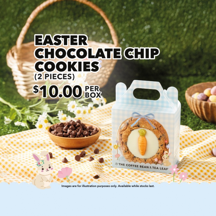 Easter Chocolate Chip Bookies