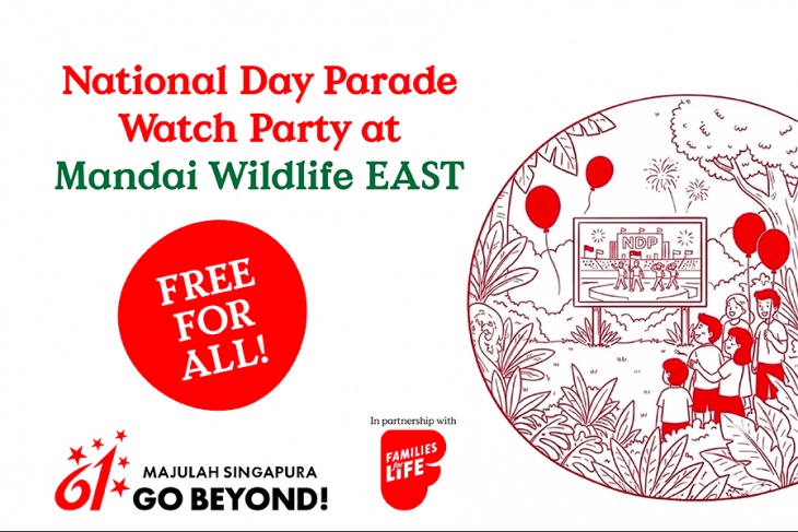 National Day Parade Watch Party