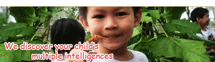 Sunflower Childcare Group