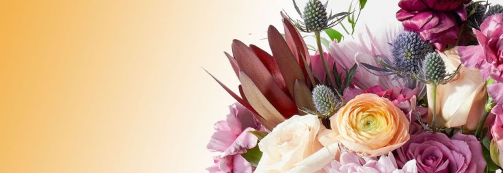 uflowershop uflowershop
