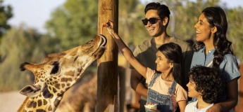 Breakfast with Giraffes