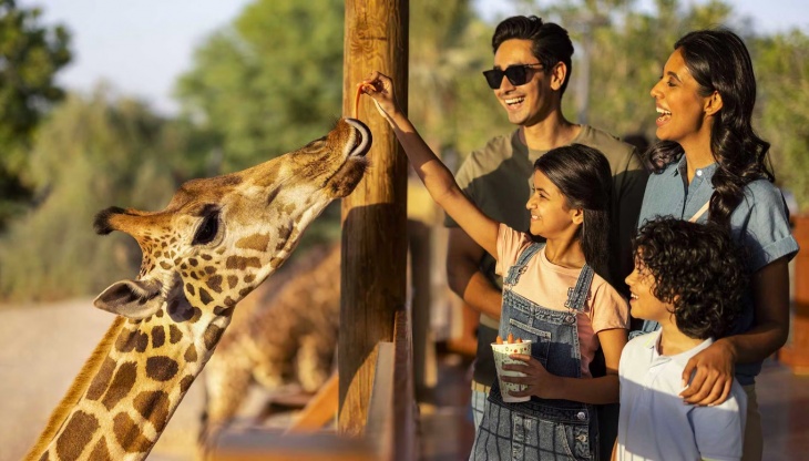 Breakfast with Giraffes